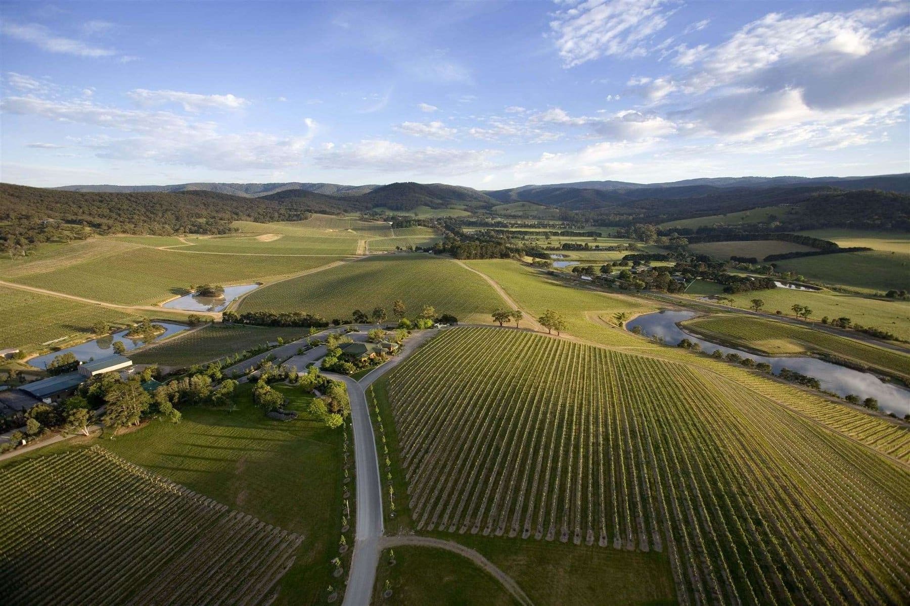 DeBortoli Wines